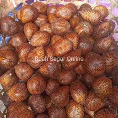 Salak Pondoh Manis