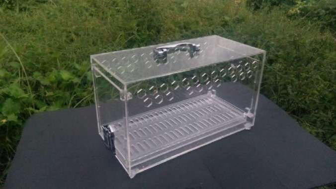 Kandang burung Cockatiel, Box Reptile, Kandang Reptil, Box Reptil