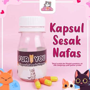 Furyou Kapsul Sesak Nafas Anabul Kucing Infeksi Saluran Pernafasan dan Nafas Bunyi