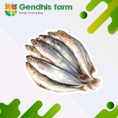 Ikan Layang Segar (500 g)