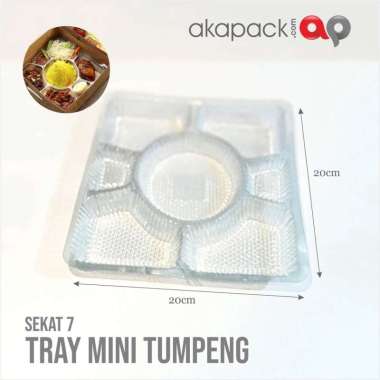 Mika Tray Kotak Sekat Plastik Bening Transparan Nasi Kotak - 20X20 / Sekat 7