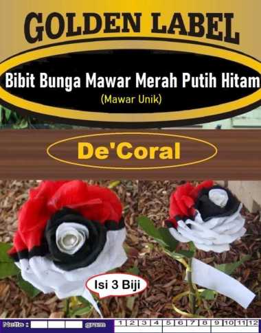 Bibit Bunga Mawar Merah Putih Hitam | Biji Benih Mawar Unik