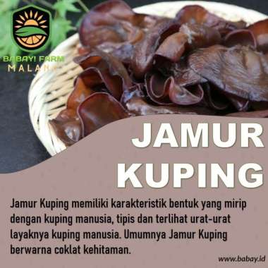 Jamur Kuping Basah