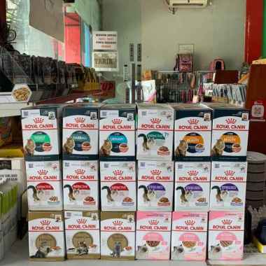Royal Canin Pouch 85gr All Varian adult mainecoon