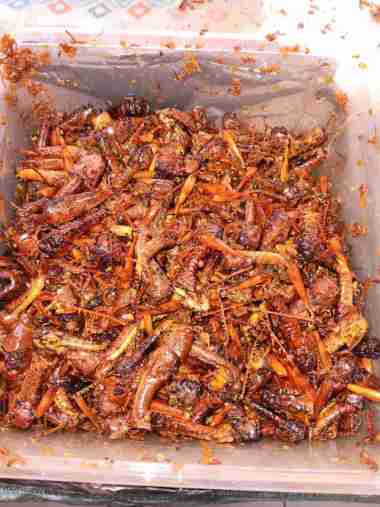 BELALANG GORENG KAYU JATI KHAS BLORA 1KG PEDAS GURIH