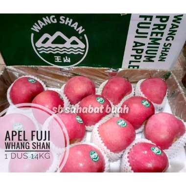 BUAH APEL FUJI WANG SHAN 1 DUS