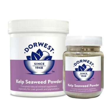 dorwest kelp seaweed powder repack 100gr Multicolor