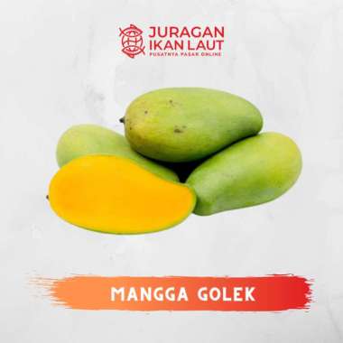 Buah Mangga Golek Segar Berkualitas - 1 Kilogram