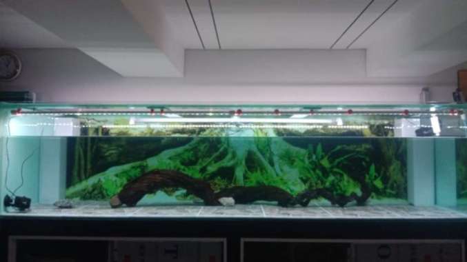 aquarium 350x100x85 Multicolor