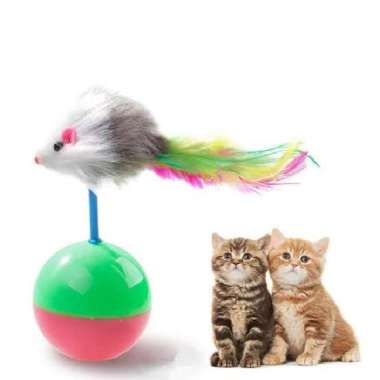 Bola Kucing Goyang Mainan Kucing Mainan Anak Kucing Mainan Kitten