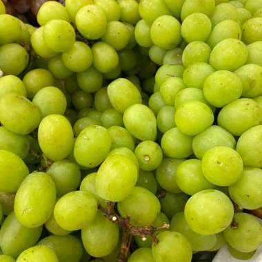 DANNHERL Anggur Muscat curah 1 kg