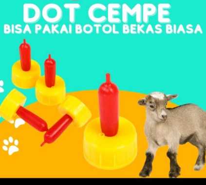 DOT CEMPE KAMBING DOMBA CAT DOG
