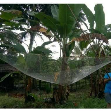 Tangkul / Anco / Hancau Penangkap Ikan Udang Bahan Senar 0.25 mm 1 1/4 3.2 m x 3.2 m