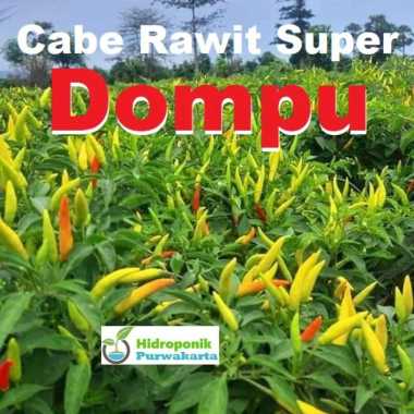 Benih Cabe Cabai Rawit Dompu Tipe Tegak Warna Putih Cap Tiga Daun Isi 10 Gram