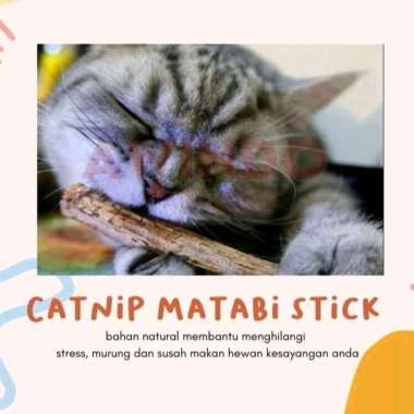CATNIP MATABI STICK