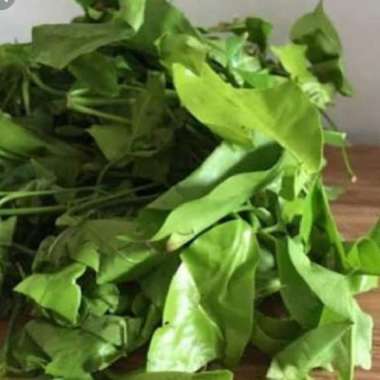 Daun mlijo 100 grm