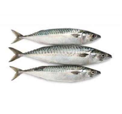 ikan kembung Banjar 1 kg