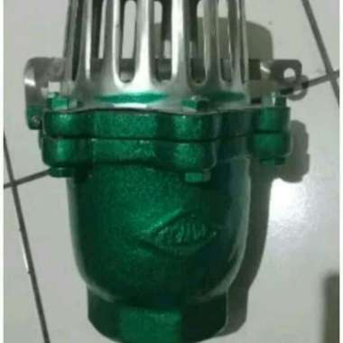 Foot Valve Cast Iron Flange 12 inch - Filter Chrome