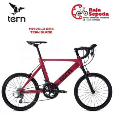 SEPEDA BALAP MINIVELO TERN SURGE 2021 Baghdad Red