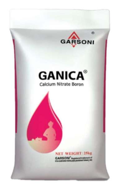 Garsoni Ganica Calcium Nitrate Boron Pupuk Kalsium Nitrat Kemasan 25Kg