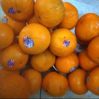 Jeruk Mandarin Honey Murcot Buah Segar Ibaza fruitsBOX - 1kg Jeruk Mandarin Murcot