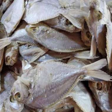 Ikan asin pepetek / asin petek 1 kg