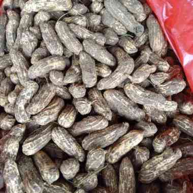 Kacang Tanah Mentah kulit 1 kg