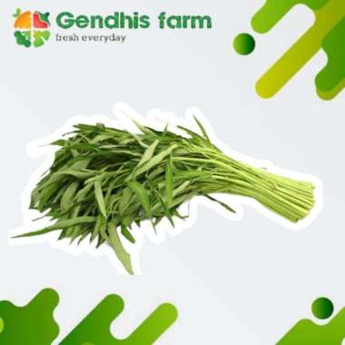 Kangkung [1 ikat]