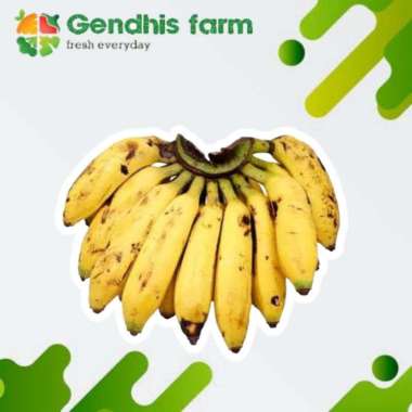 Pisang Uli [1 sisir]