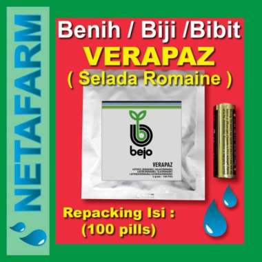 benih / biji / bibit bejo verapaz selada romaine 100 pills