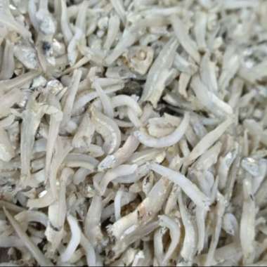 Teri Lampung Asin Berkualitas - 250 Gram