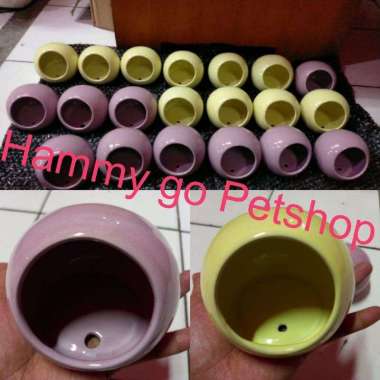 rumah keramik hamster