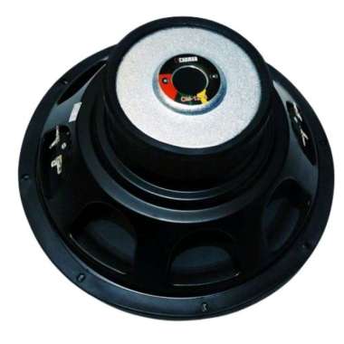 Speaker carman on sale 12 inch