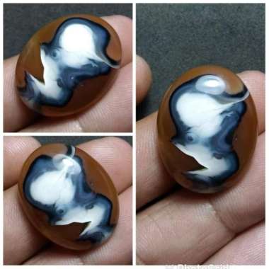 Akik Natural Batu Motif Gambar Kepala Ikan Lohan SRD Putih Unik Antik