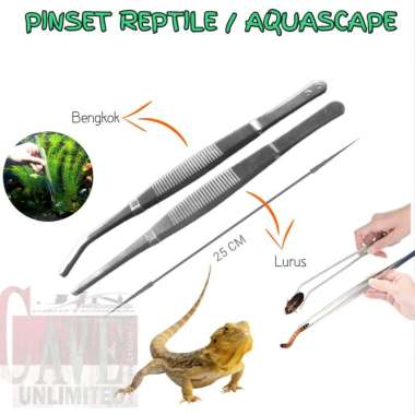 PINSET BENGKOK LURUS CAPITAN PENJEPIT TIKUS JANGKRIK ULAT KECOA DUBIA PAKAN REPTILE ULAR GECKO BEARD