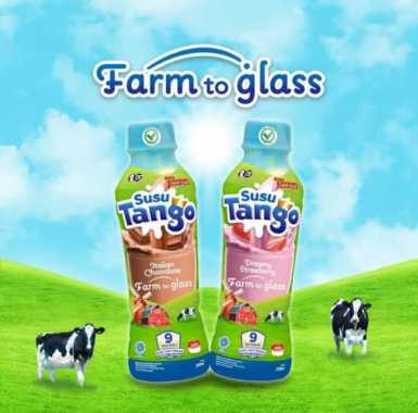 COD // Susu Tango Italian Chocolate 250 Ml 1 Krat Isi 12 Botol // Susu Tango // Susu Anak // Susu Co