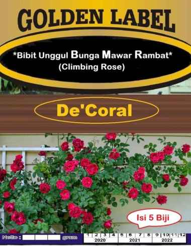 Bibit Bunga Mawar Rambat Climbing Rose|Benih Bunga Mawar Rambat