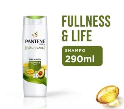 Promo Harga Pantene Shampoo Fullness & Life 290 ml - Blibli