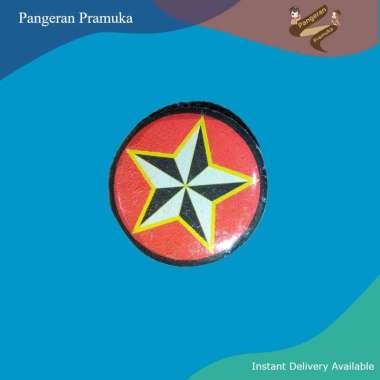 Pin Bintang Tahunan Resin Kuningan Penggalang Pramuka Bintang 1