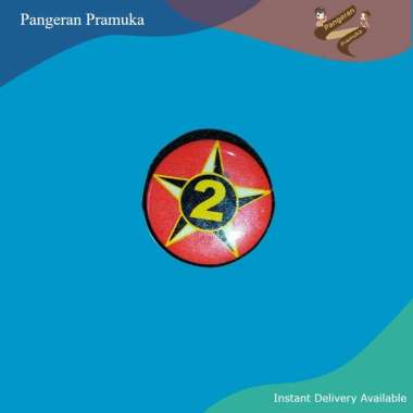 Pin Bintang Tahunan Resin Kuningan Penggalang Pramuka Bintang 2