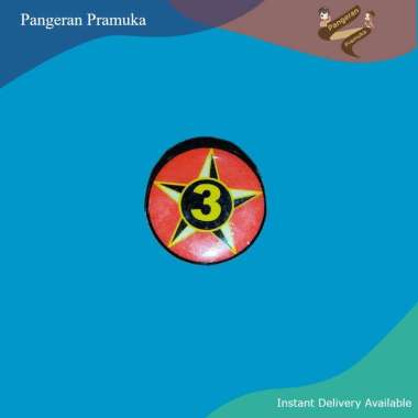 Pin Bintang Tahunan Resin Kuningan Penggalang Pramuka Bintang 3