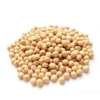 Kacang Kedelai 100 Gram