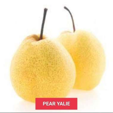 Buah Pear Century Pear Singo Pear Xianglie Pear Packham Pear Golden : Pear Yalie