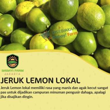 Jeruk Lemon Lokal Segar 500 gr / 1 kg 1 Kg