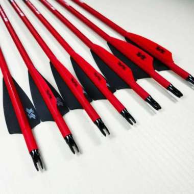 ARROW XXX-PRIDE PURE CARBON 300 - Pure Carbon Arrow Spine 300