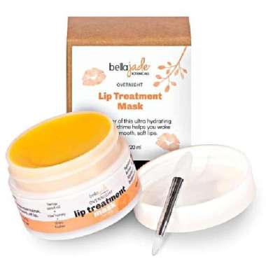 Lip Moisturizer Mask Overnight Treatment Balm w/Organic Shea Butter