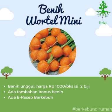 BENIH WORTEL MINI, BIBIT WORTEL MINI