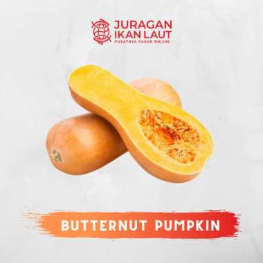 Labu Madu Butternut Pumpkin Segar Berkualitas - 1 Buah