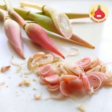 KECOMBRANG MERAH/KECOMBRANG SEGAR/KINCUNG/KECOMBRANG HONJE 250gram