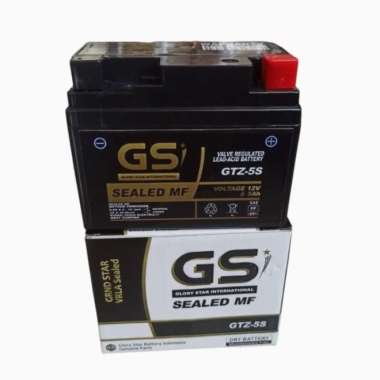 AKI ACCU GTZ-5S GS GOLD Multicolor